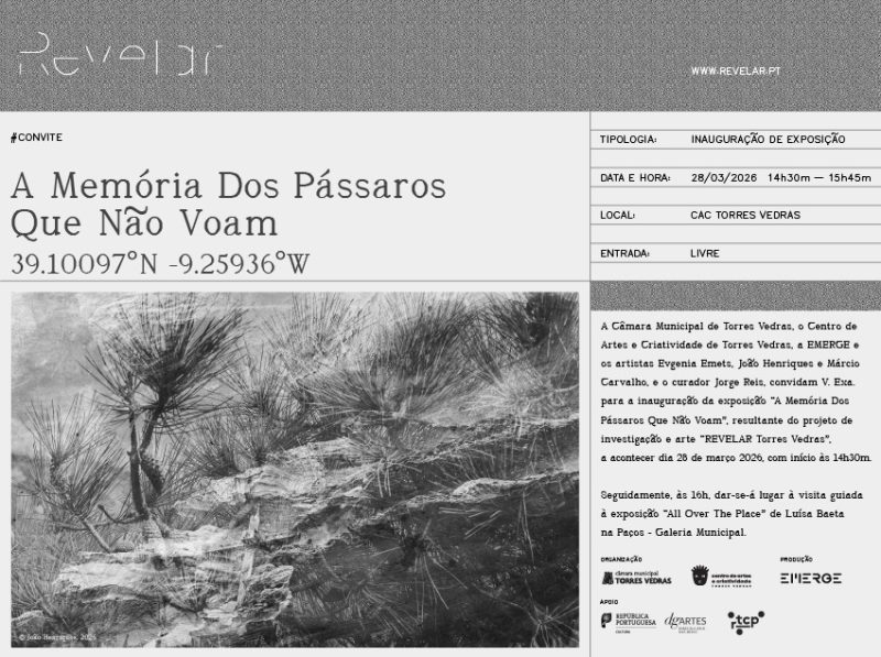 “Le Vrai Mirage” – Inauguração